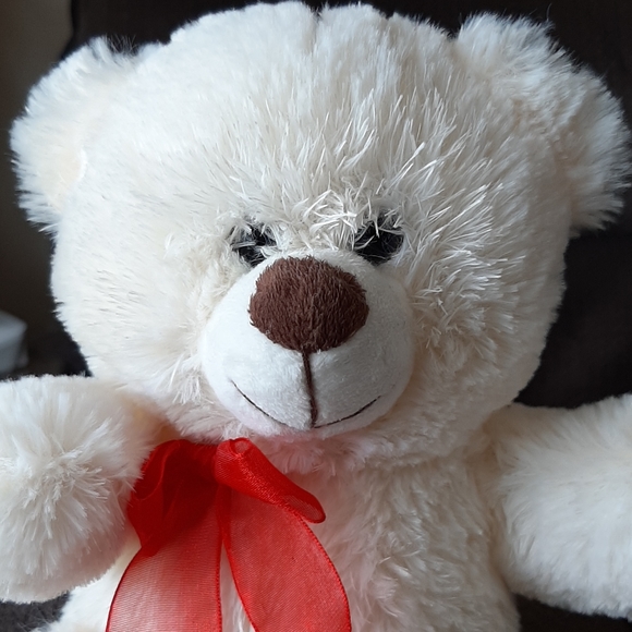 White Little Teddy Bear - Picture 2 of 5